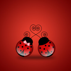 Ladybug in love for Valentine's Day