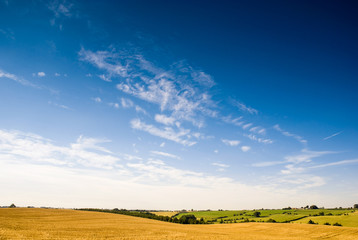 Obraz premium Big rural golden landscape