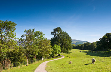 Idyllic rural, Cumbria, UK