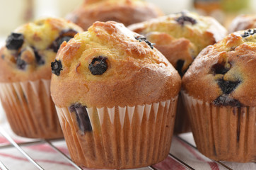 Blueberry muffins