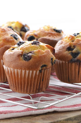 Blueberry muffins