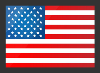 United States Flag. Vector illustration