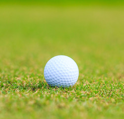 Golf course