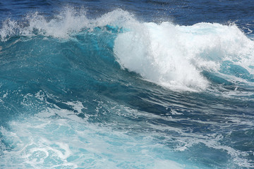 Beautiful teal ocean waves