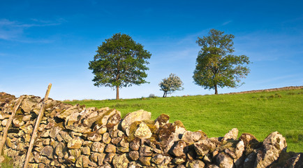 Rural scene, Lake District, UK