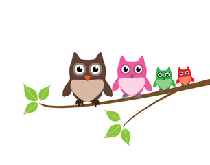 vector cute owl family