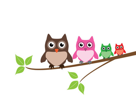 vector cute owl family