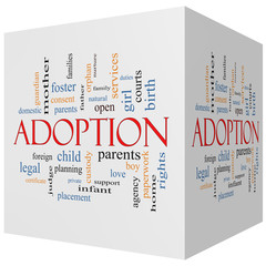 Adoption 3D cube Word Cloud Concept