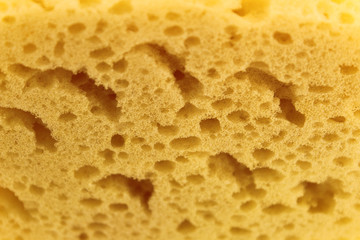 Sponge texture
