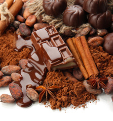 Composition of chocolate sweets, cocoa and spices, isolated