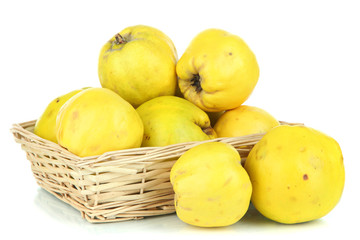 Sweet quinces in wicker basket isolated on white