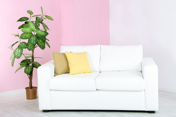 White sofa in room on pink wall background