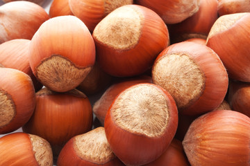 Hazelnuts or filbert