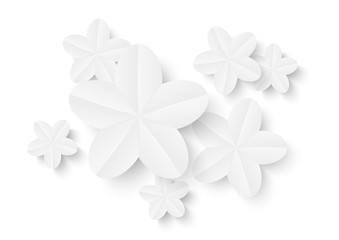 White paper flowers for Your design