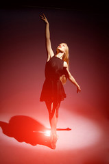 Naklejka premium a young wonderful ballerina