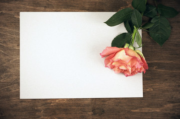 Rose and blank sheet