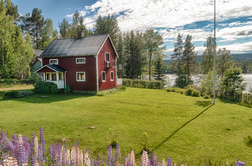 red rustic house on a green meadow