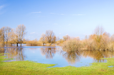 Obraz premium Spring high water