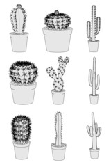 cartoon image of cactus flowers