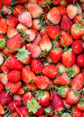 Fresh natural juicy strawberries to background on the street mar