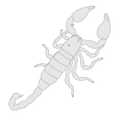 cartoon image of scorpion - black emperor