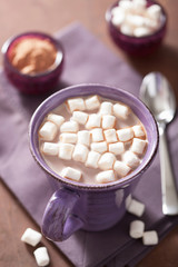 hot chocolate with mini marshmallows in purple mug