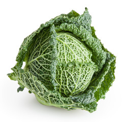 Savoy cabbage isolated on white background with clipping path