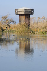 Wooden tower in the Hula Valley, Israel