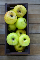 harvest of green apples in wooden crate