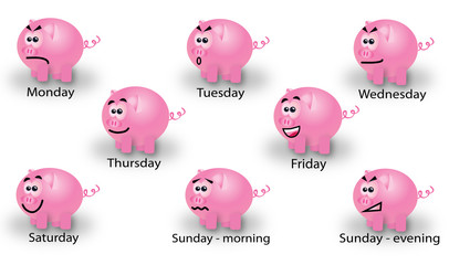Working week of pigs