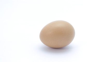 Egg