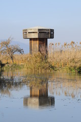 Wooden tower in the Hula Valley, Israel