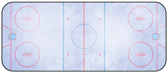 Obraz premium Ice Hockey Rink