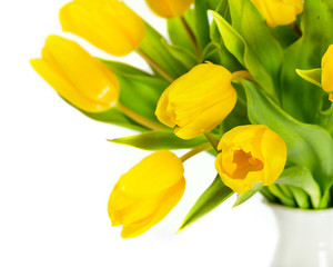Yellow tulip flowers
