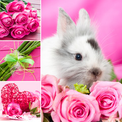 Kaninchen mit Rosen