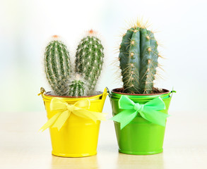 Beautiful cactuses in bright pails on wooden table