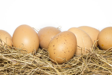 Fresh eggs in nests for cooking