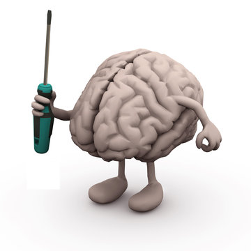 human brain with arms and legs and screwdriver on hand,