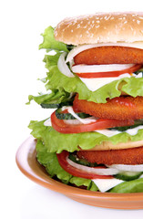 Huge burger on color plate, isolated on white