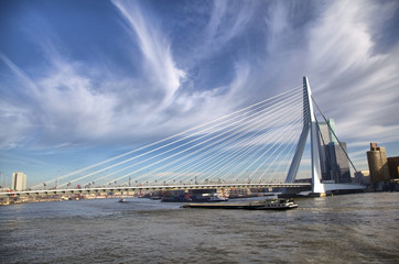 Erasmus Bridge in Rotterdam on the Nieuve-Maas River, Rotterdam, Netherlands