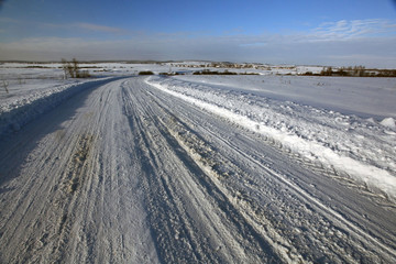 Fototapeta na wymiar bird tracks in the snow
