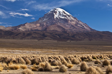 Bolivia - Sajama Volcano - 60283533