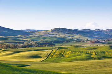 Fototapeta na wymiar Outdoor Tuscan Val d Orcia green and yellow hills