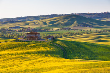 Outdoor Tuscan Val d Orcia green and yellow hills