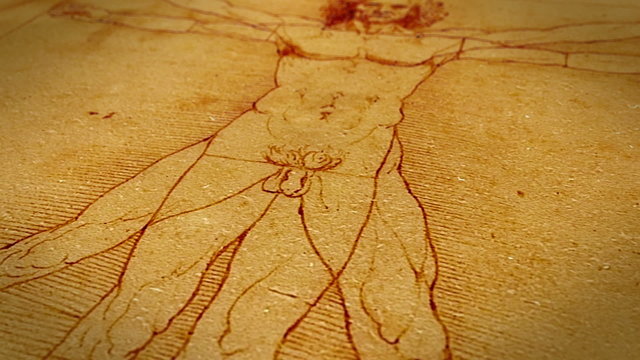 Dolly shot of Leonardo da Vinci Vitruvian Man drawing