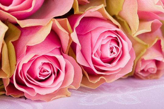 pink roses on withe tablecloth