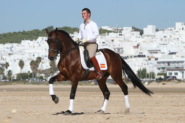 Spanischer Reiter vor weißem Dorf