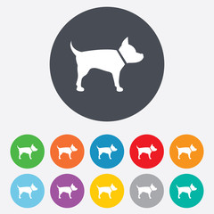 Dog sign icon. Pets symbol.