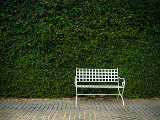 White bench in lush garden