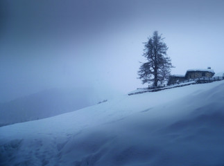 winter landscape